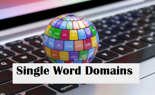 Single Word Domains Available